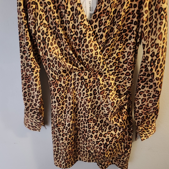 Zara Brown Leopard Long Sleeve Dress - Picture 10 of 11